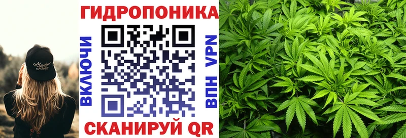 Конопля Ganja Карачев